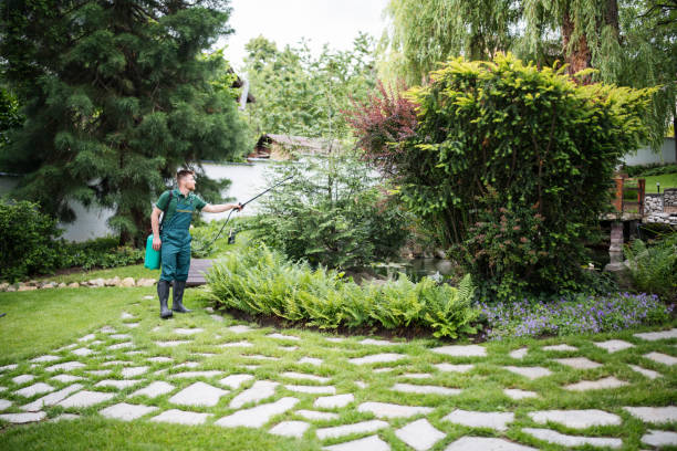 Flea Control Services in Sunnyside Tahoe City, CA