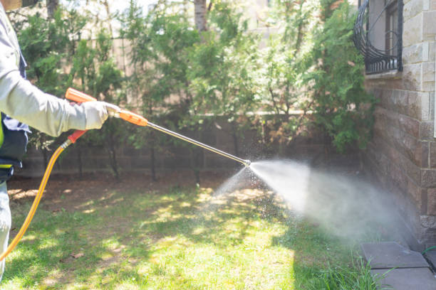 Best Emergency Pest Control  in Sunnyside Tahoe City, CA